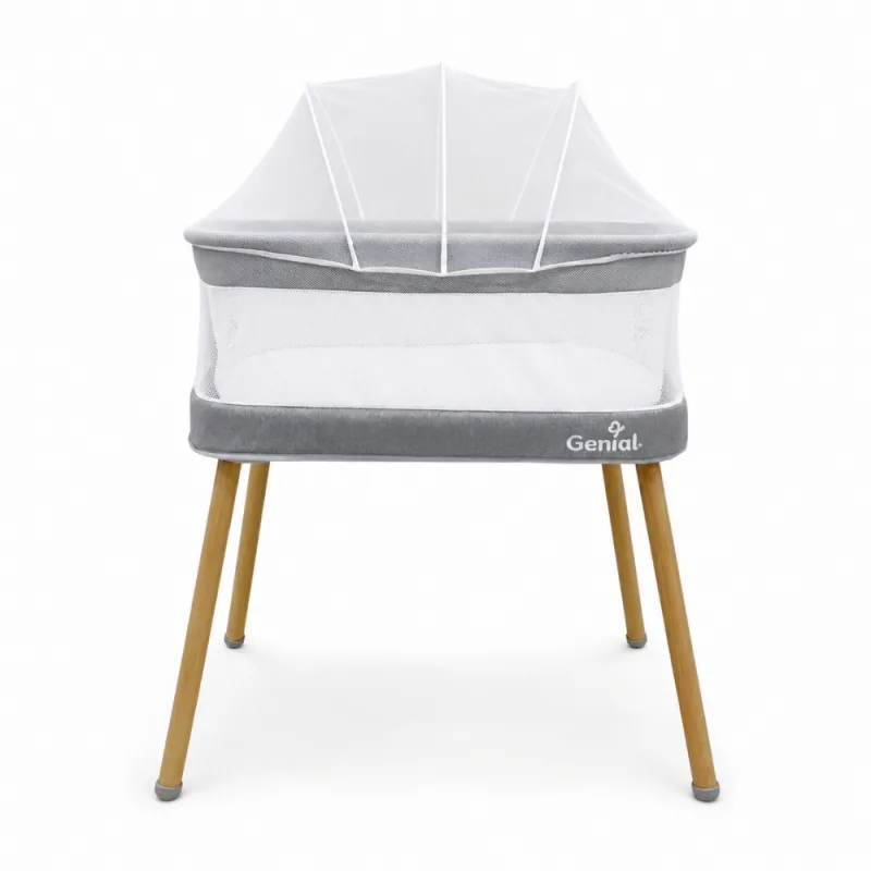 Moisés Eléctrico Genial Gris con Mosquitero y Control Remoto